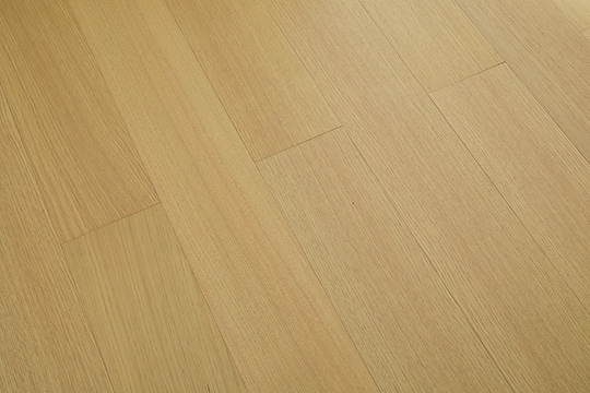 1205